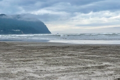 SR101-2022-01 SR101-2022-01